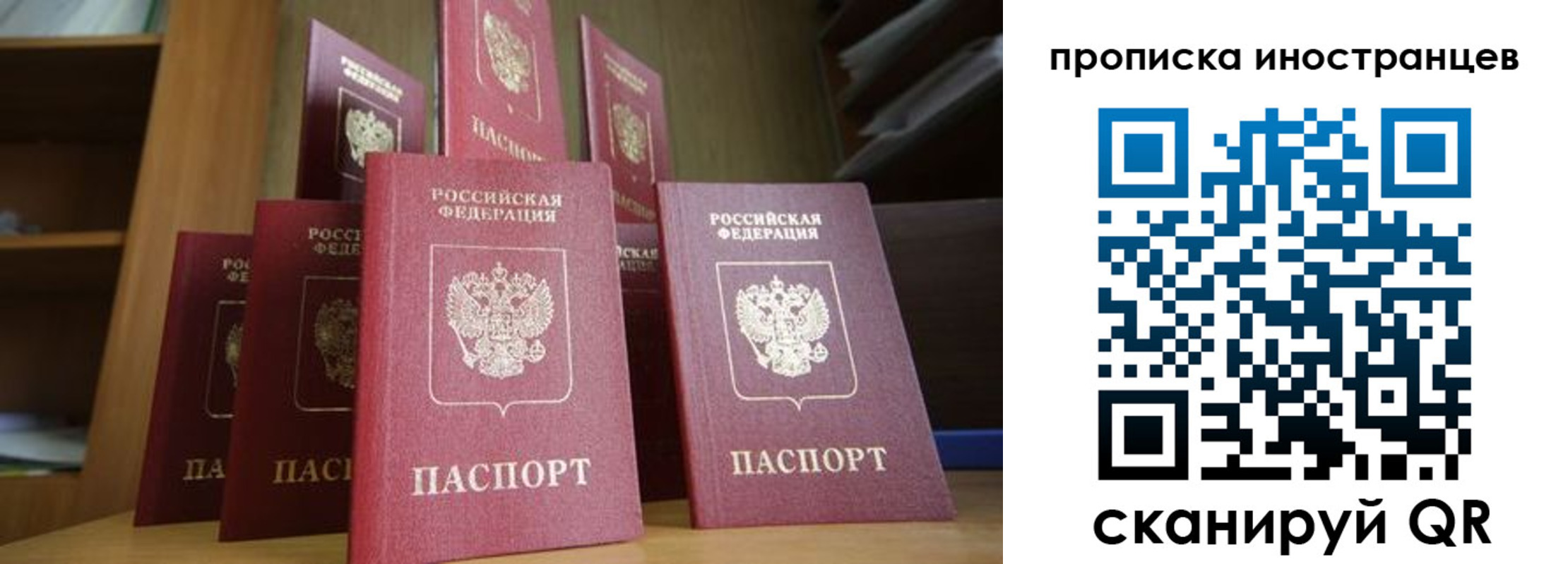 временная прописка в Полярных Зорях